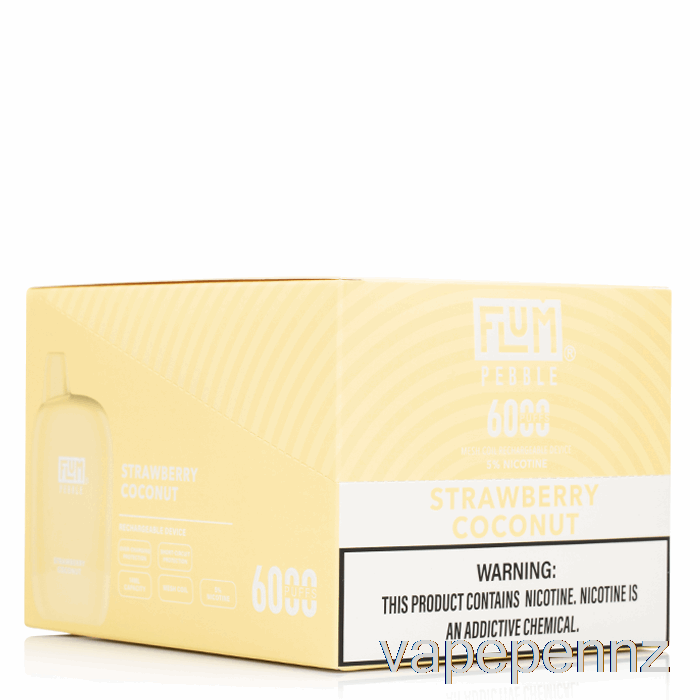 [10-Pack] Flum Pebble 6000 Disposable VAPE NZ